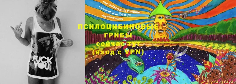 Псилоцибиновые грибы MAGIC MUSHROOMS  blacksprut tor  Кадников 